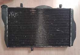Радиаторы на honda CBR1100XX super blackbird - Фото #2