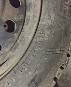  зимние шины со стальными дисками Данлоп R16 - Фото #4